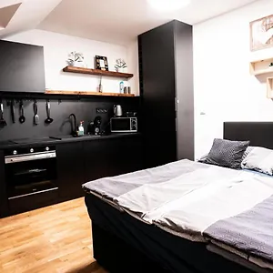 Apartmán Exclusive Apartman Jecna, Praha