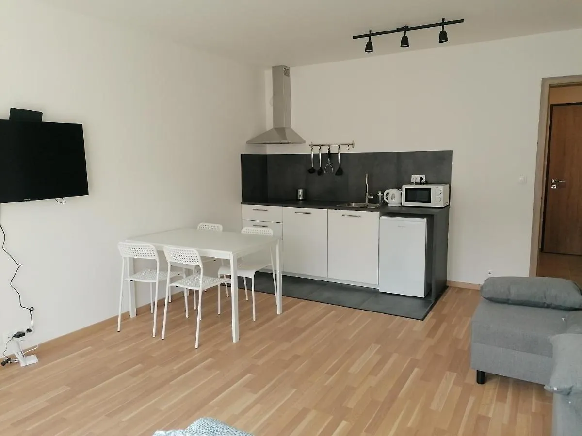 Brand New Studio Apartment #62 With Free Secure Parking In The Center Prag